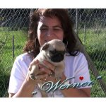 Manuela Mops Freund aus Wessobrunn