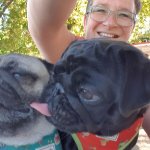 Elke Mops Freund aus Oberbillig