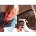 Gitti Mops Freund aus Herdecke