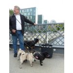 Ernst Mops Freund aus Weisendorf