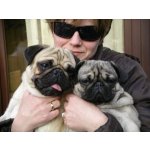 Margot Mops Freund aus Mönchengladbach